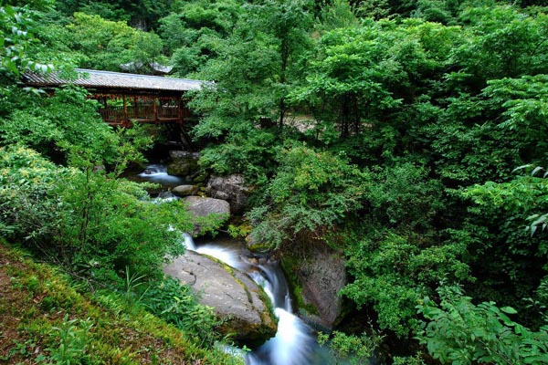 A snapshot of Shennongjia Nature Reserve