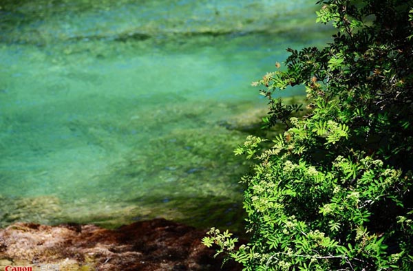 Amazing Jiuzhai Valley