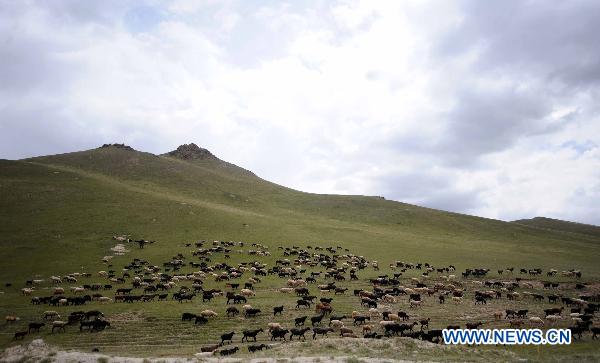 Fantastic scenery of Naryn State, Kyrgyzstan