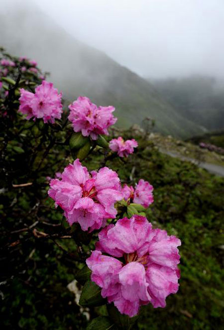 South slope of Himalayas, China's Tibet