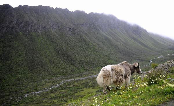 South slope of Himalayas, China's Tibet