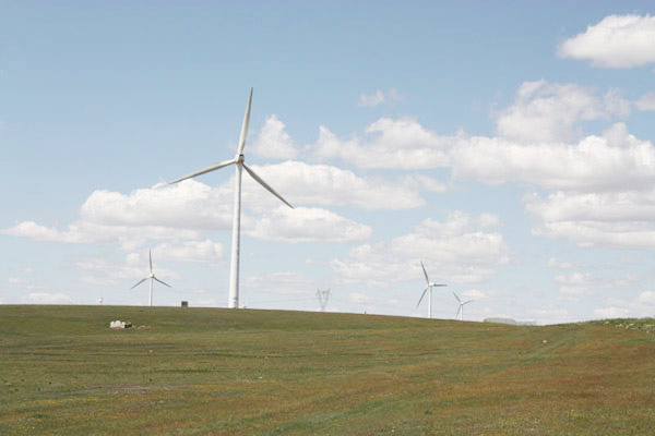 Summer at the Ulanqab Prairie