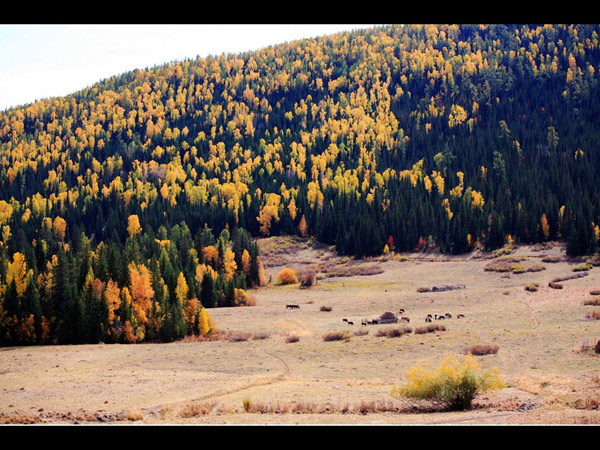 Amazing Hemu Village, Xinjiang