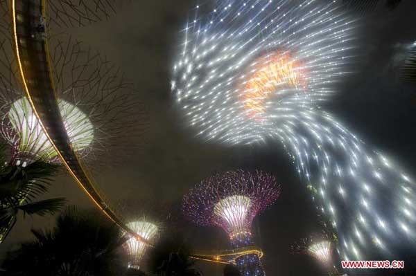 Light and sound show brightens Supertrees Grove in Singapore