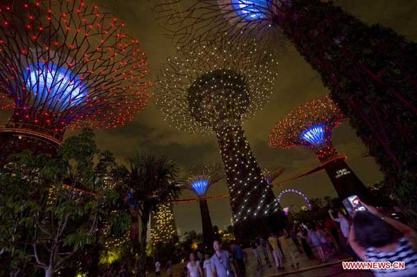 Light and sound show brightens Supertrees Grove in Singapore