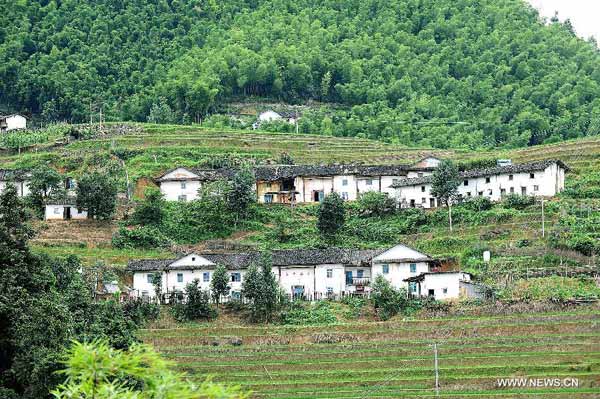Scenery of Shangbao Terrace Fields in E China