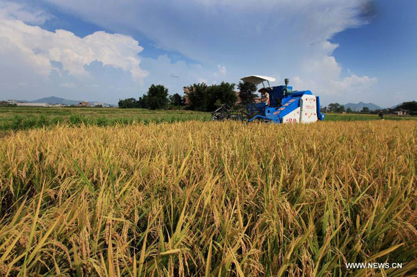 Idyllic sceneries in S China