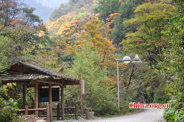 Trip to Dongla Mountain Grand Canyon