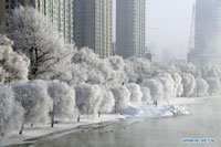 The silent beauty of the Summer Palace in winter