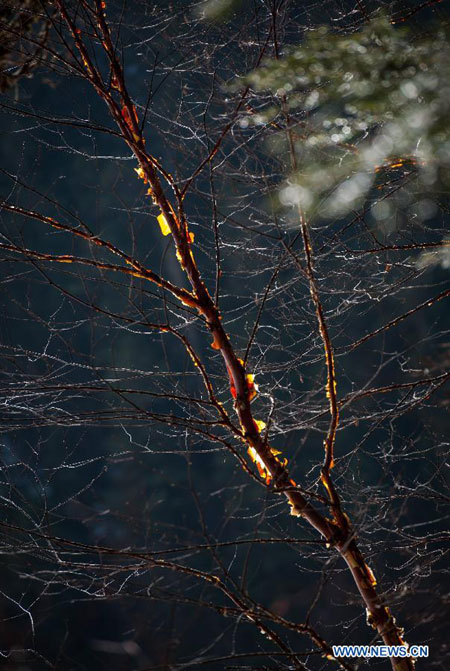 Unparalleled scenery of Jiuzhaigou Valley in SW China