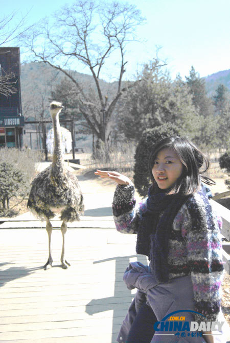 Trip to Nami Island presents tourists with exotic experience