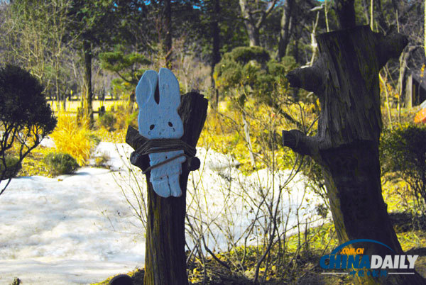 Trip to Nami Island presents tourists with exotic experience