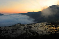 Painting-like scenery of Hani terraced fields in SW China