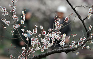 Picturesque! Trip planner: four-day trip to S China