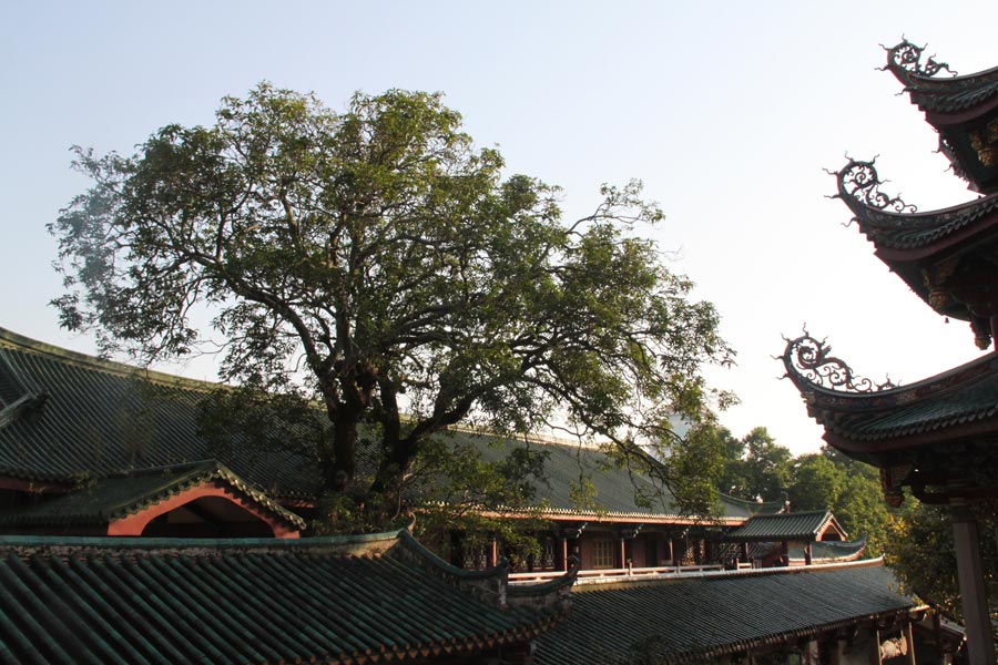 South Putuo Temple in China's Fujian