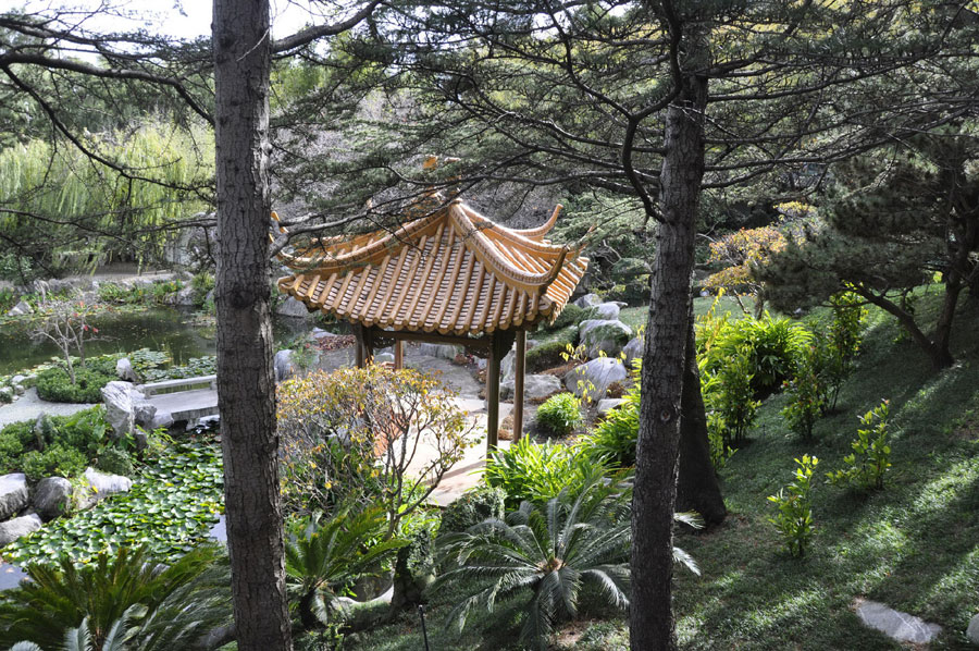 Chinese garden offers green paradise in Sydney