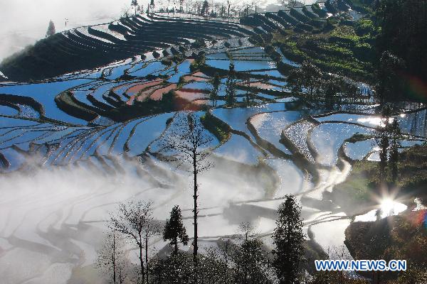 Terrace fields in Yuanyang, China's Yunnan