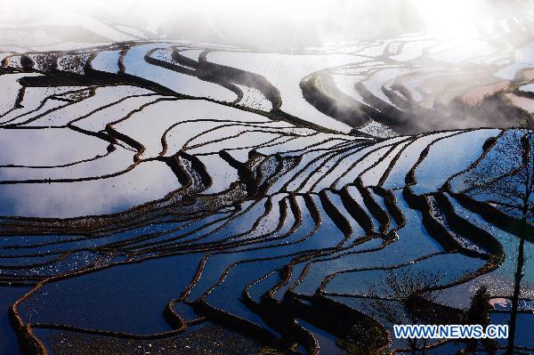 Terrace fields in Yuanyang, China's Yunnan