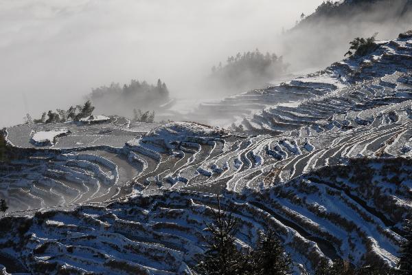 Terraced fields after snowfall