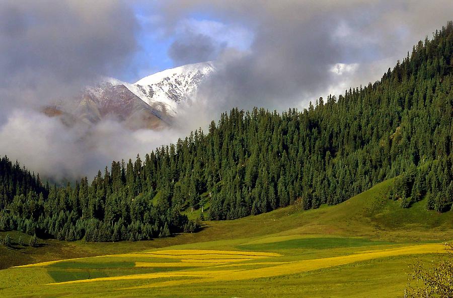 Scenery of Qilian Mountains