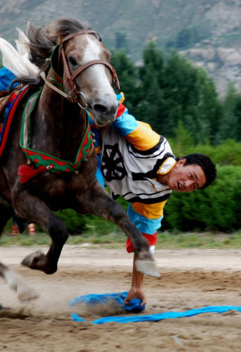 Horse-racing of Shoton Festival in Tibet
