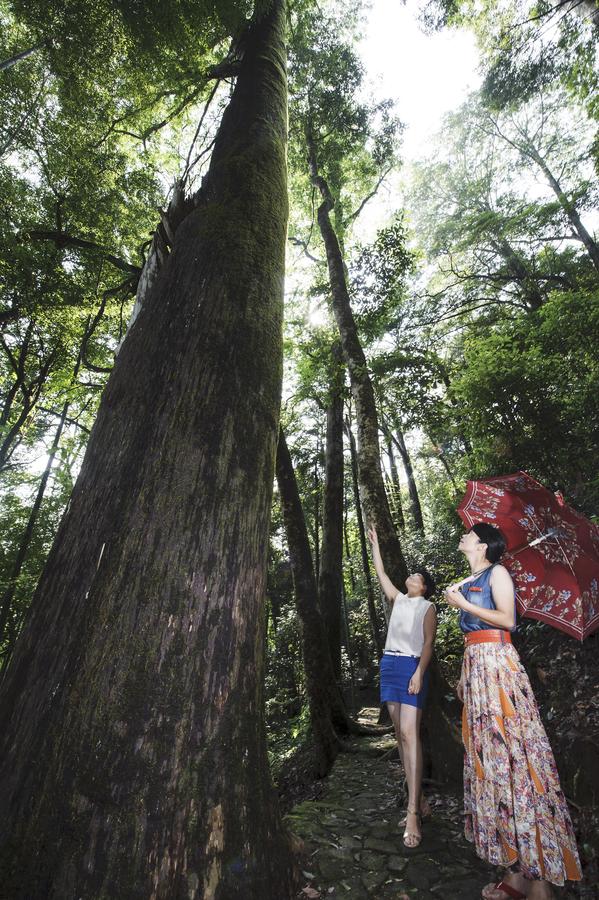 Meihua Mountain Nature Reserve in SE Chin