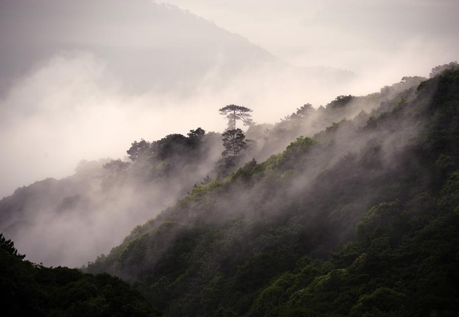 Meihua Mountain Nature Reserve in SE Chin