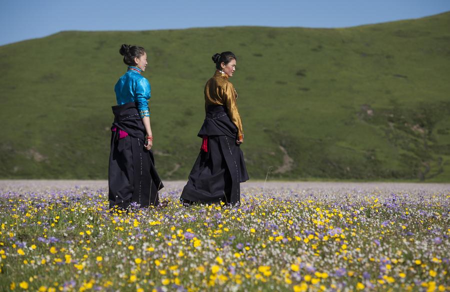 Scenery of Emutang Pasture in Sichuan