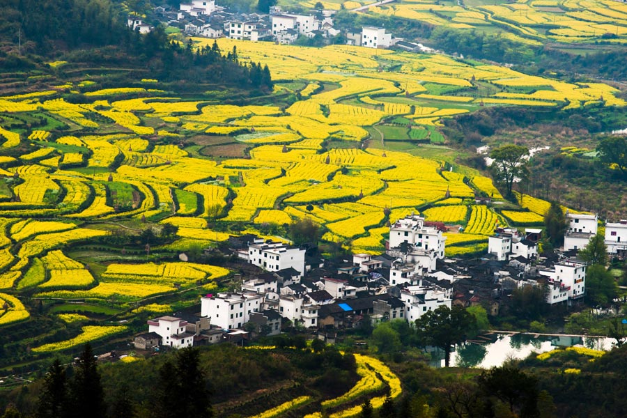 Explore China's World Heritage Site: Zhangjiajie