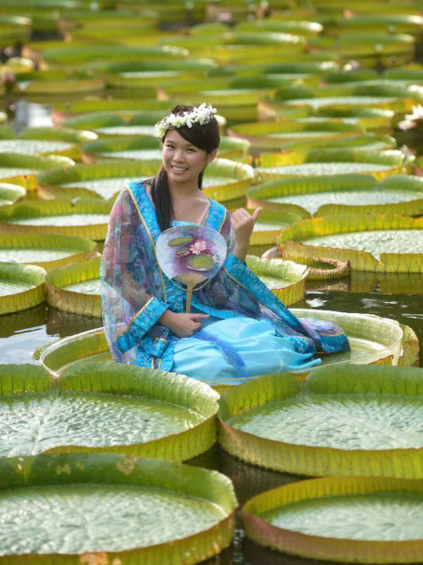 Aquatic plants exhibition attracts visitors in Taipei
