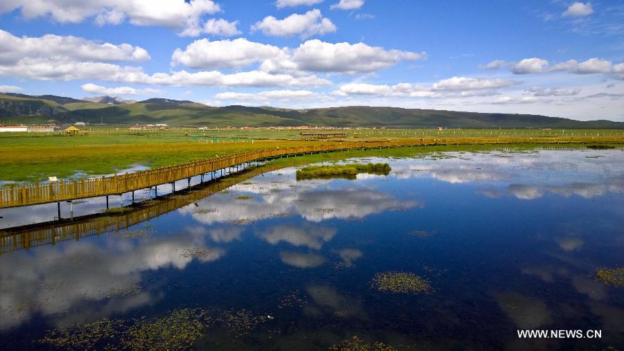 Beauty of Gahai Wetland in NW China's Gansu