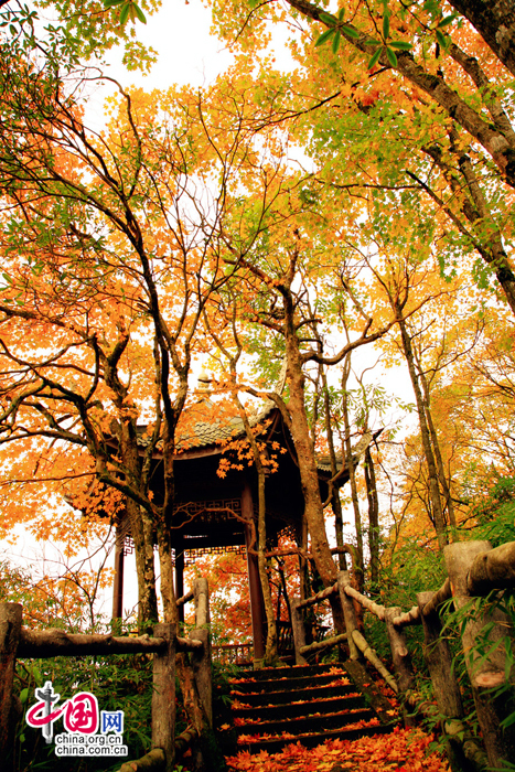 Colorful autumn of Emei Mountain