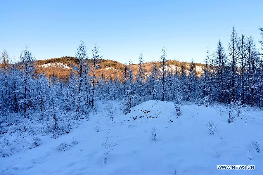 Winter scency of Moridaga Forest Park