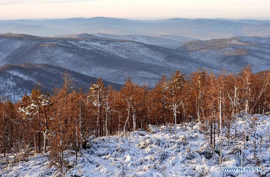 Winter scency of Moridaga Forest Park