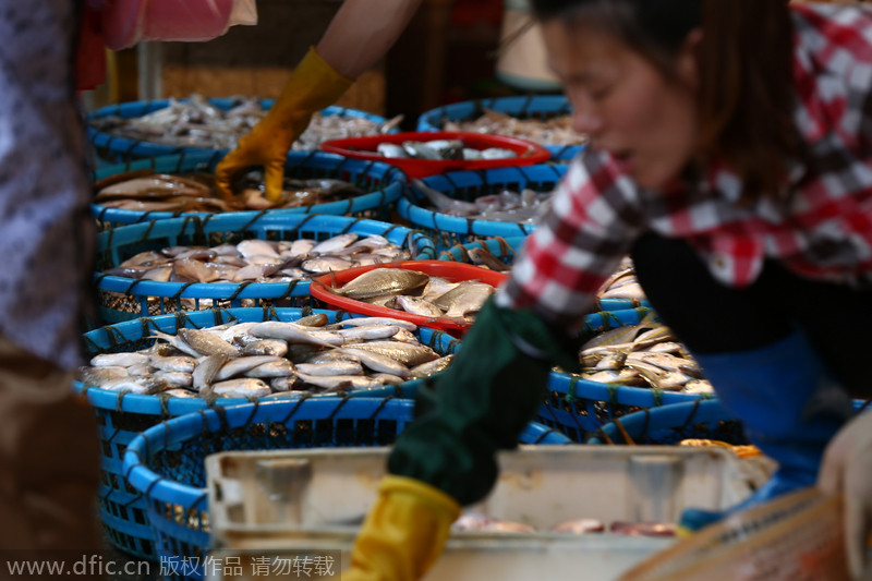 Xiamen's most famous seafood market