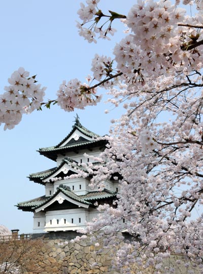 Japan blossoms for Chinese tourists