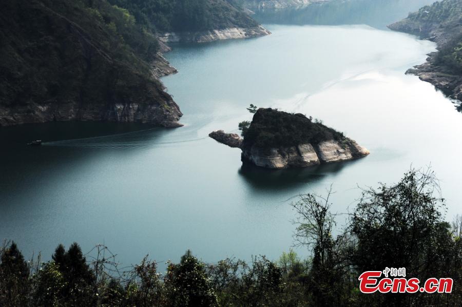 Giant 'tortoise' surfaces in Three Gorges Reservoir