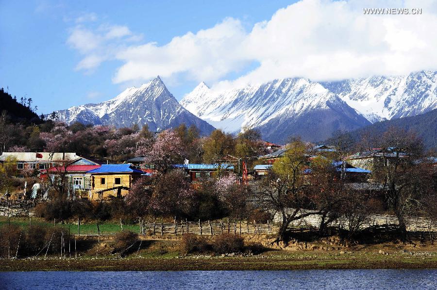 Picturesque spring scenery in Bomi county in Tibet