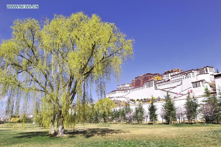Spring scenery of the Potala Palace in Lhasa