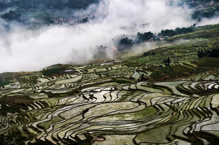 Stunning scenery of Hani rice terraces