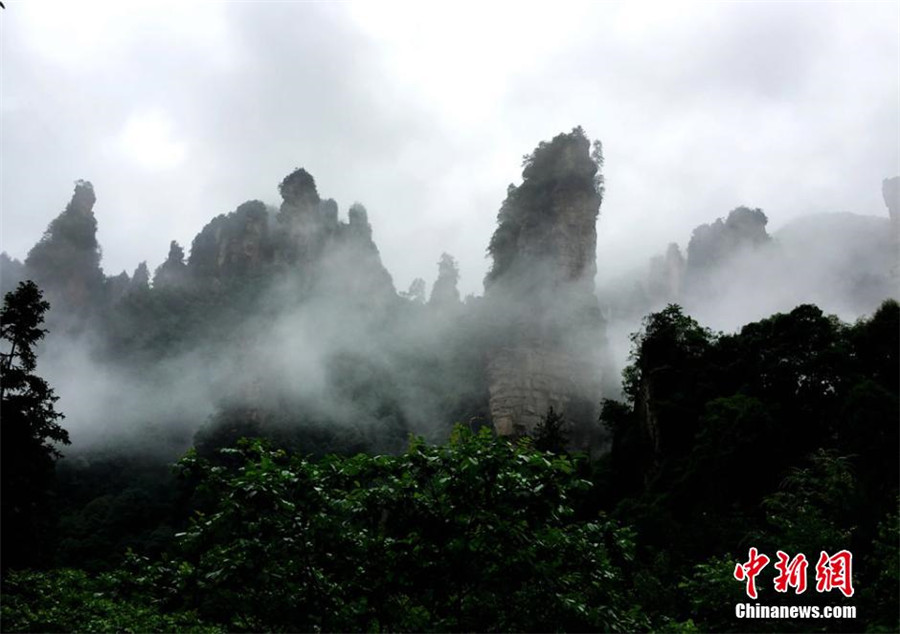 Eye-catching Wulingyuan Scenic Area shrouded by mist