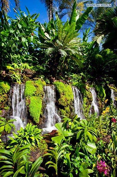 Singapore Botanic Gardens declared UNESCO World Heritage Site
