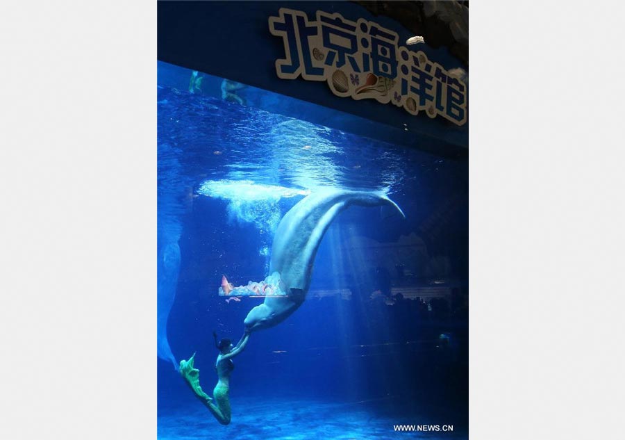 Shark Awareness Day marked in Beijing Aquarium