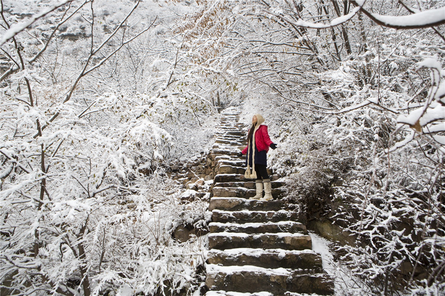 Enjoy snow scenery in Tianjin