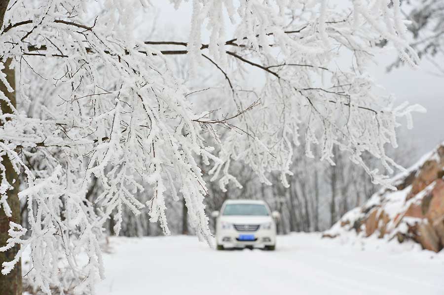 Rime scenery at Longping township, C China