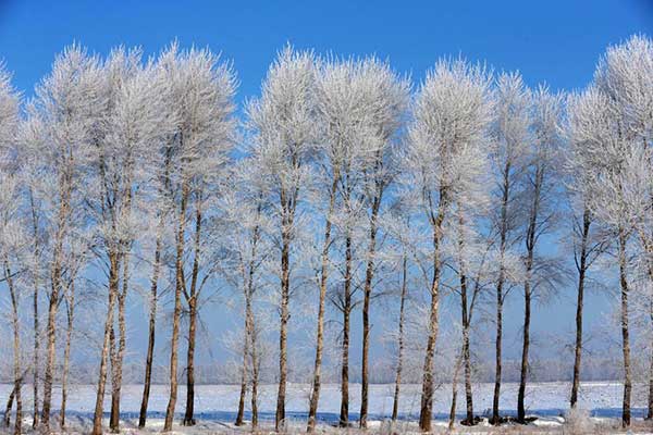 Heilongjiang's winter tourism booms despite annoying warmth