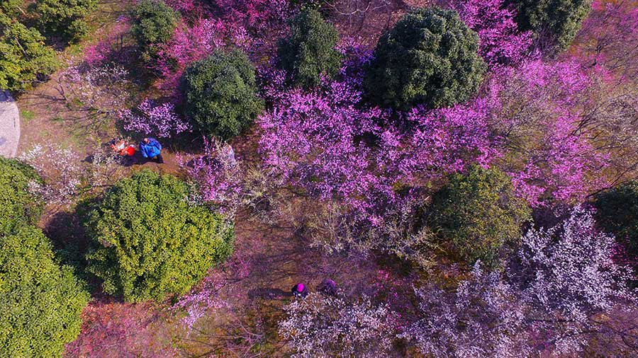 Aerial photos of Wanhua Park scenery in E China
