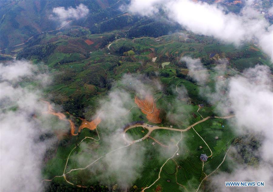 Aerial photos show green landscape covered by clouds in S China