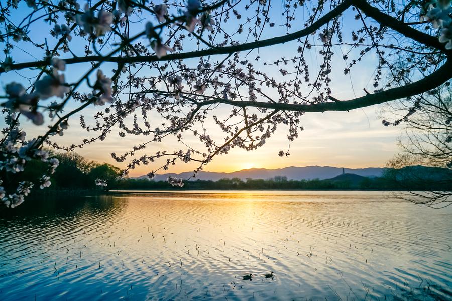 Summer Palace embraces spring