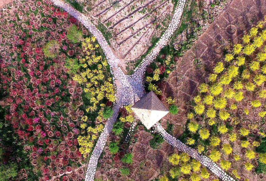 Aerial view of Tianjin's country park